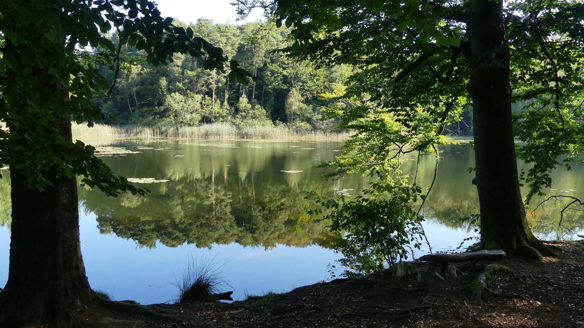 Ferienwohnung Suedharz Walkenried Luaran gambar